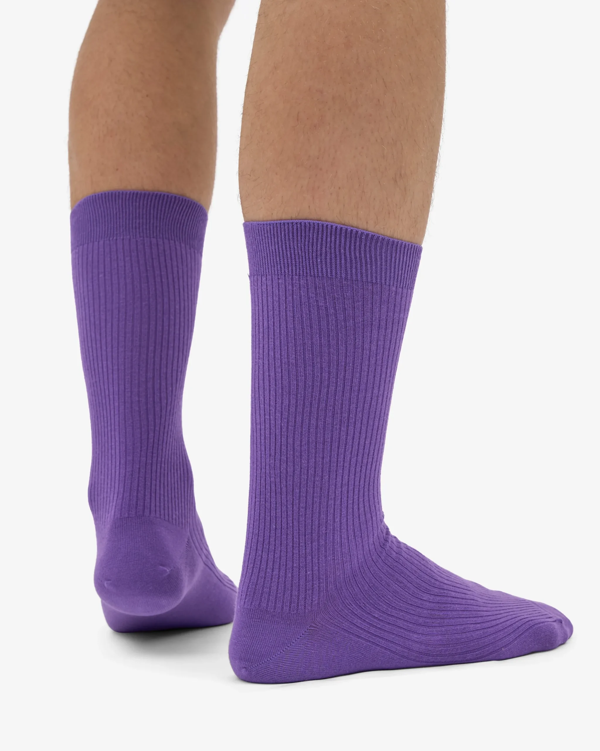 Classic Organic Sock - Ultra Violet (3-Pack)