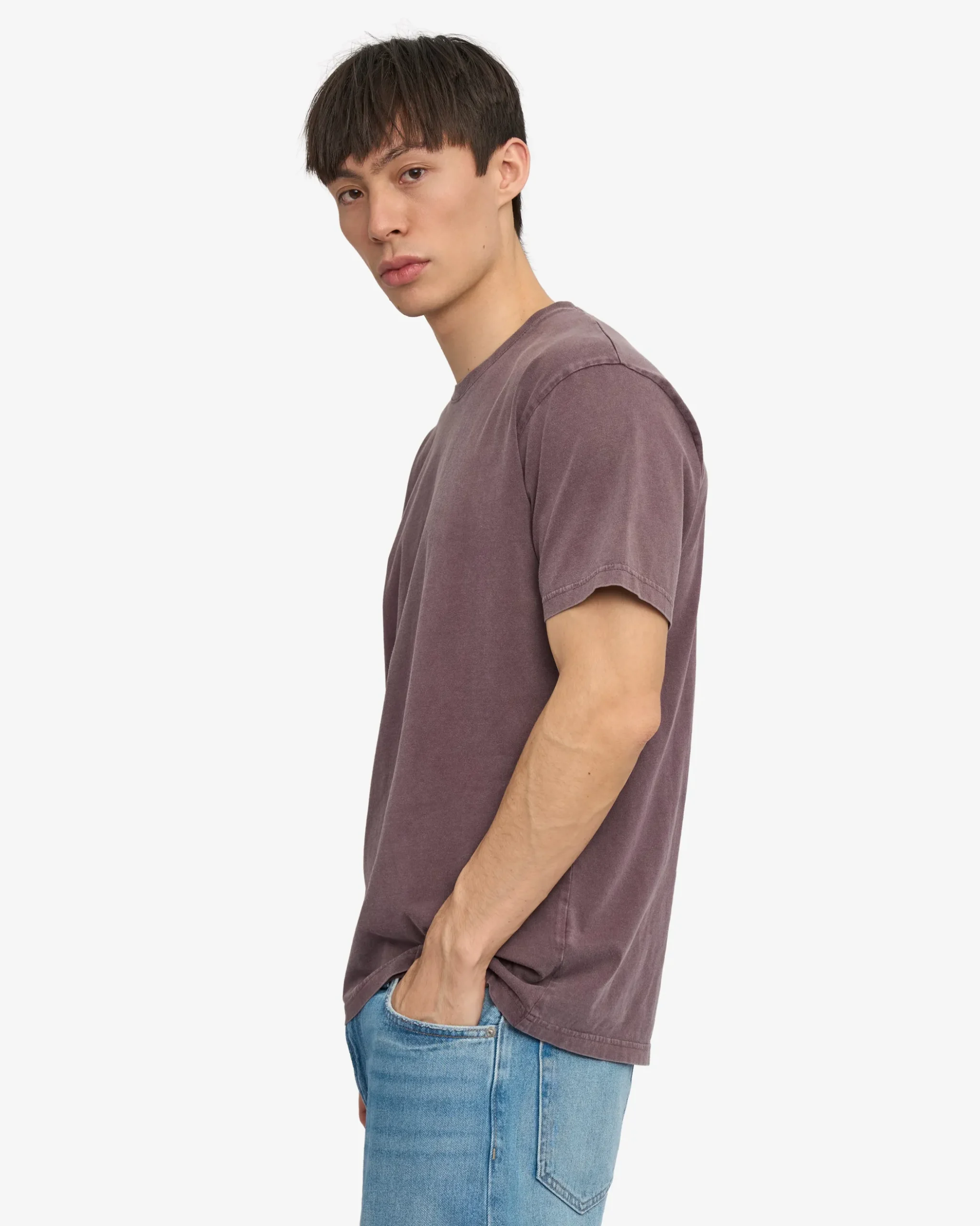 Classic Organic Tee - Faded Grape