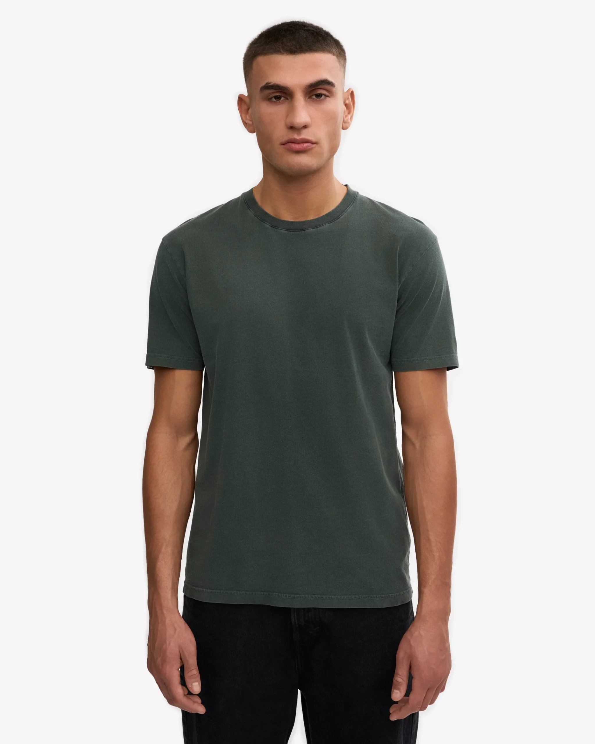 Classic Organic Tee - Midnight Forest (3-Pack)