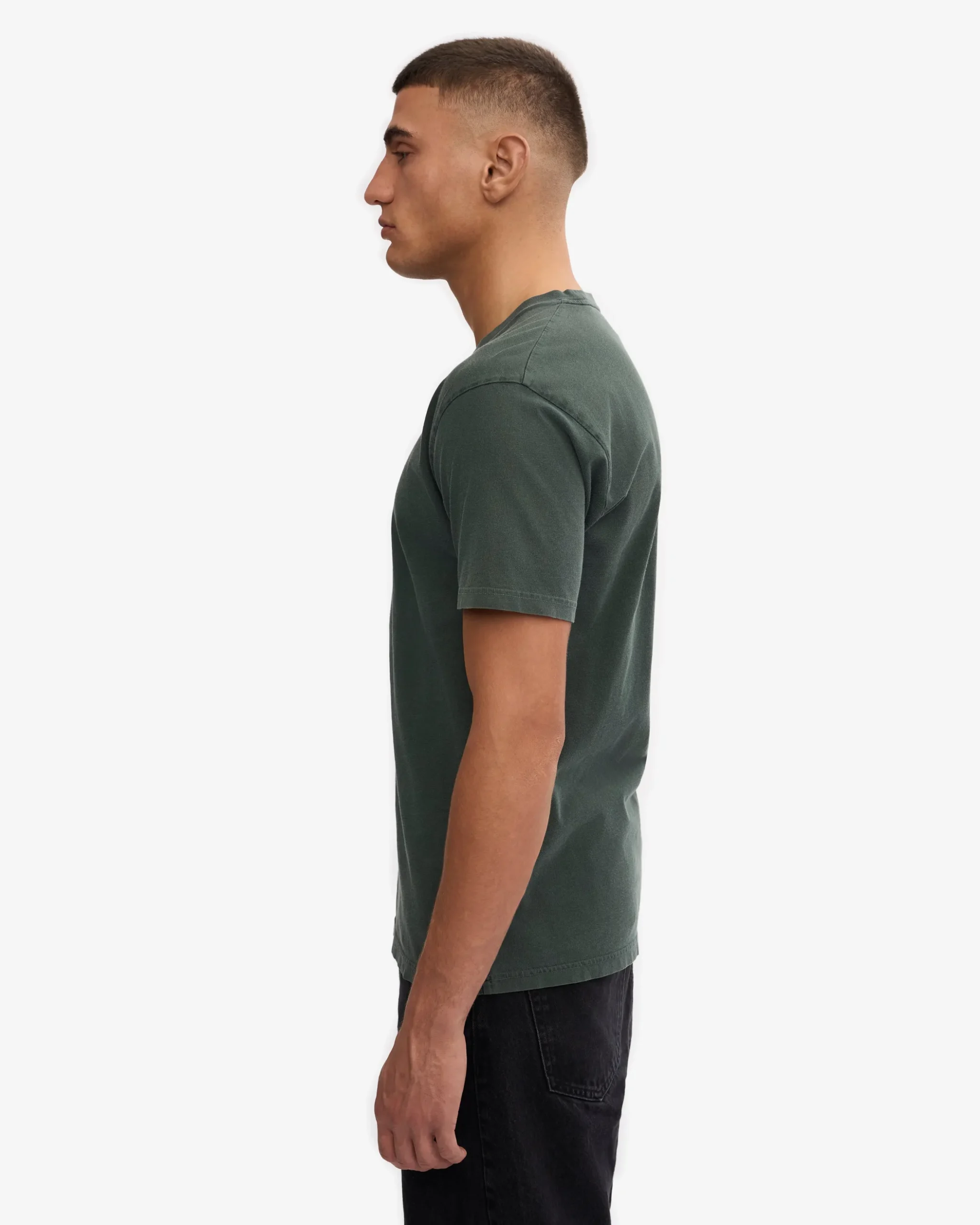 Classic Organic Tee - Midnight Forest (3-Pack)
