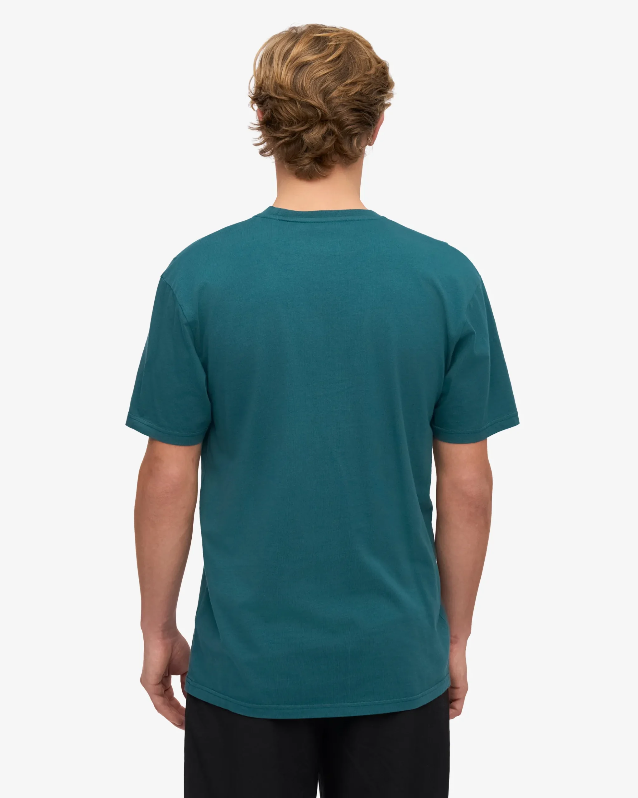 Classic Organic Tee - Ocean Green (3-Pack)