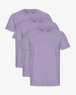 Classic Organic Tee - Purple Jade (3-Pack)