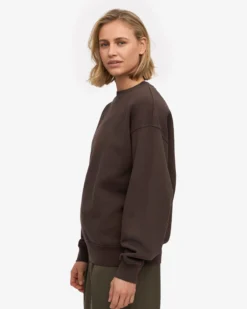 Organic Oversized Crew - Coffee Brown