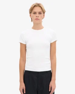 Organic Rib Tee - Mixed 03 (3-Pack)